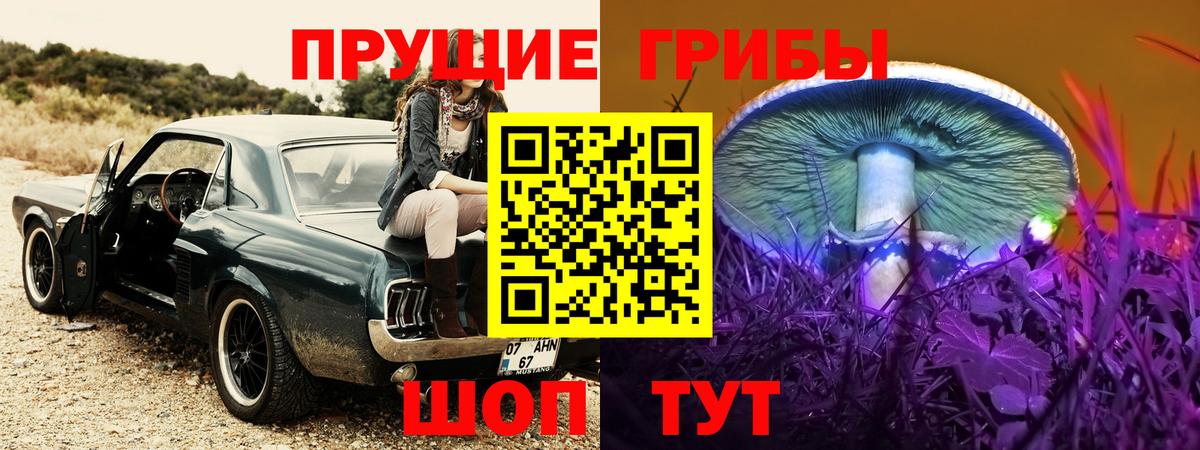 Галлюциногенные грибы Cubensis  Вход с VPN  Нижний Тагил  Галлюциногенные грибы Psilocybe 